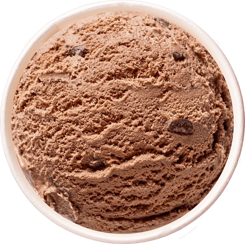 A scoop of Chocolate Choc Chip ice cream